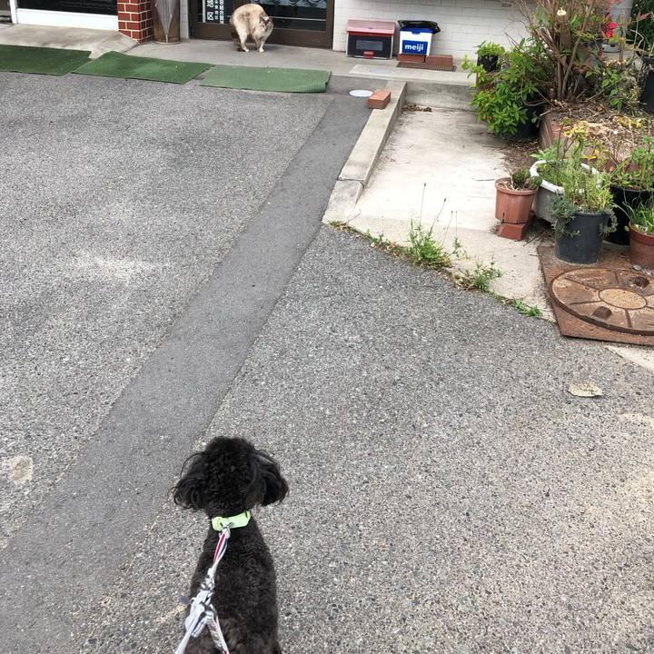 66ca62eb 5226 491d bf7a 4e2b3acd83d8 1590060614282