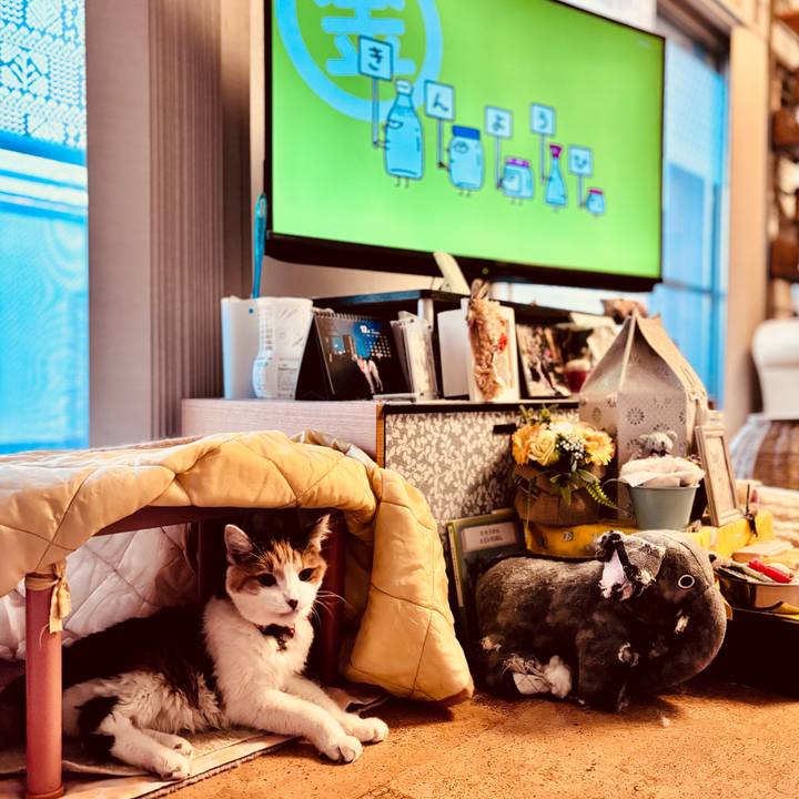 66ca7138 74c2 4827 b569 065b06fbff19 1733435964981