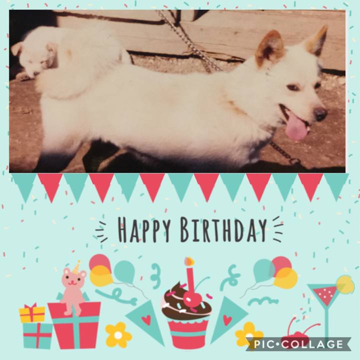 66ca7158 0ef6 4eb1 9d23 524a9b79ac11 1517747540012