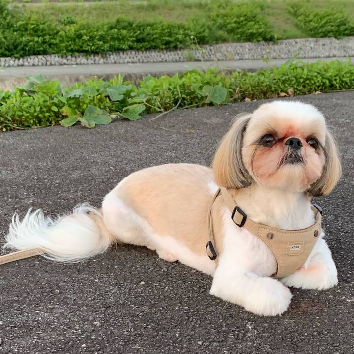 66ca7bdf 00f7 4ab2 b2ad 6e1469c95c56 1623154526639