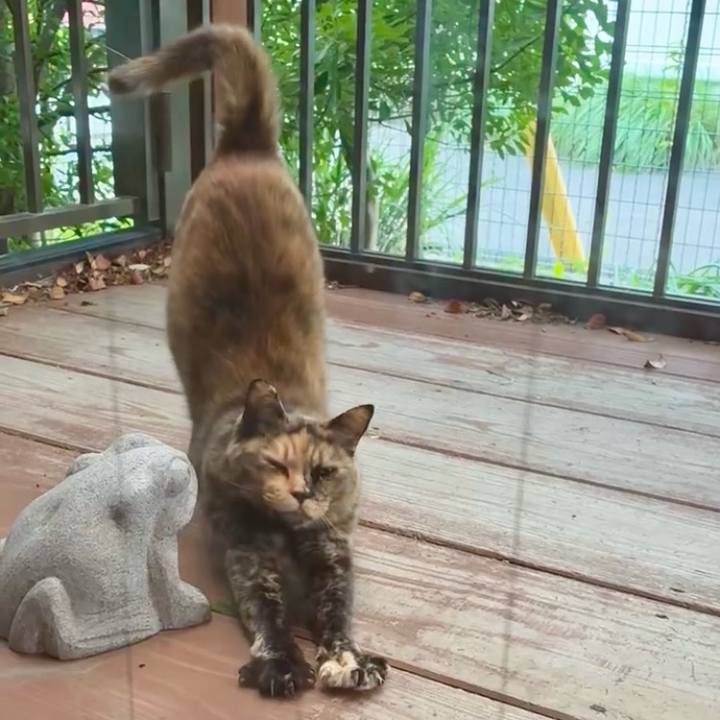 66ca9be6 20ad 45c7 b243 c3d93a0ea8d1 1748426560928