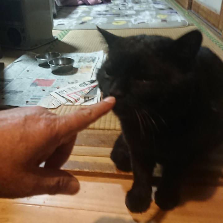 66caa158 e6b9 448b 80b3 b60e852428b3 1619436143519