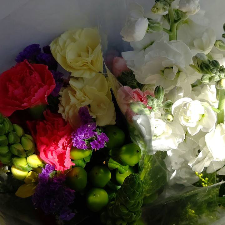 66caadb5 e48a 44b4 964d 9f12cfa3771a 1573882537341