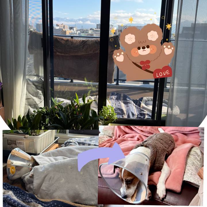 66cab475 ec2d 4ee0 af01 59a517ddd65d 1765954630648