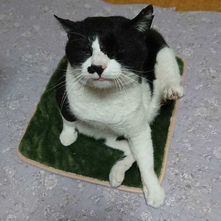 66cac183 fc5a 490a a680 c7c03cf0700e 1551914122364