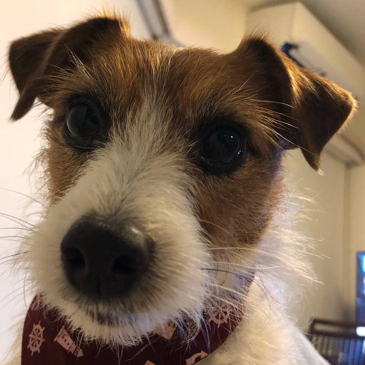 66cac585 dcd0 41a2 a29f 9660aaf14943 1580300622616