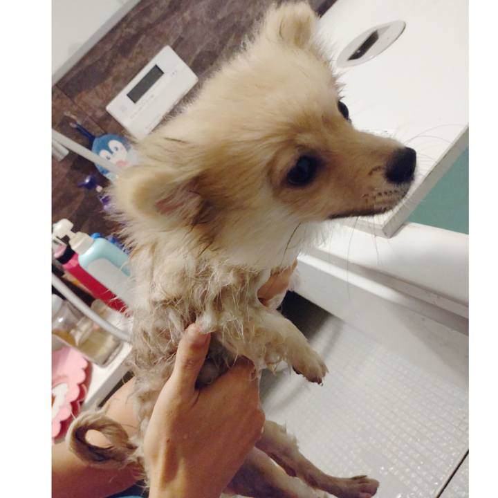 66cac5c5 d3d3 4df4 80cd 4062af358316 1725061097959