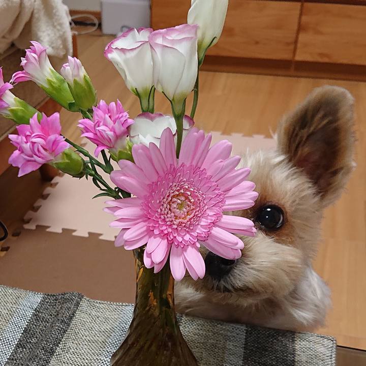 66cad597 f61c 469e 8ffa d187813894e3 1602252779334