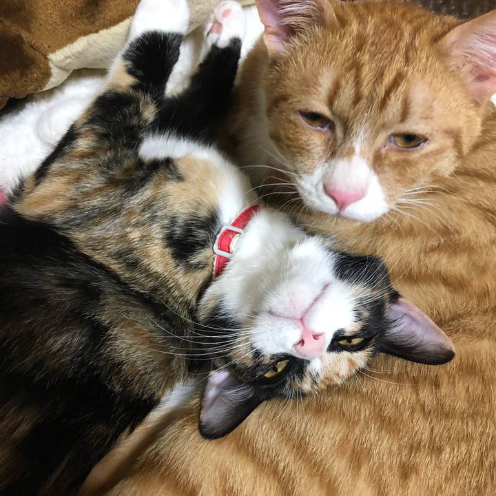 66caf98e 563c 455d b6a9 e59906f43a62 1552467245363