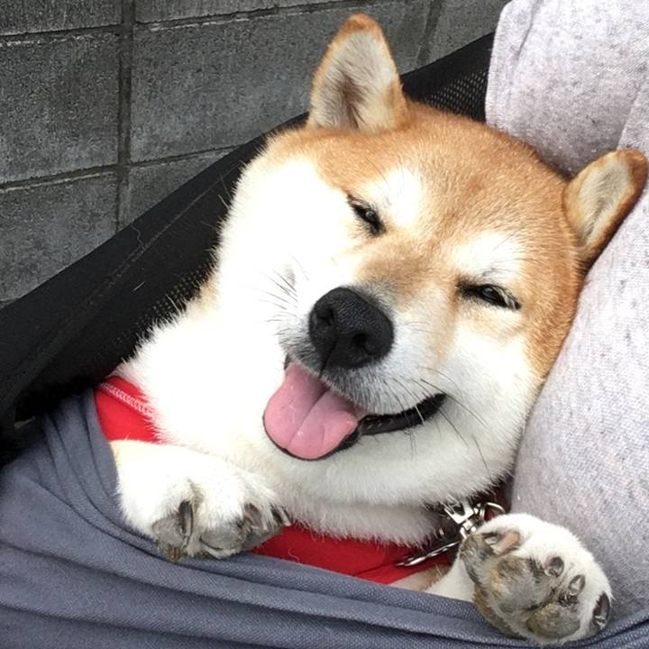 66cb06b5 229e 4b9d aa19 e134d055237f 1567211583359