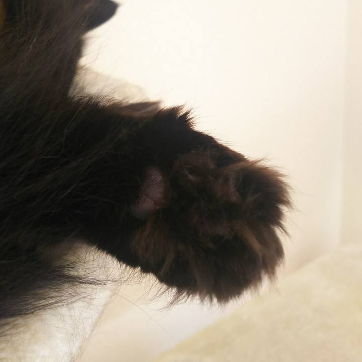 66cb185a cd0f 44cb b639 04cbf80691b7 1541298207073