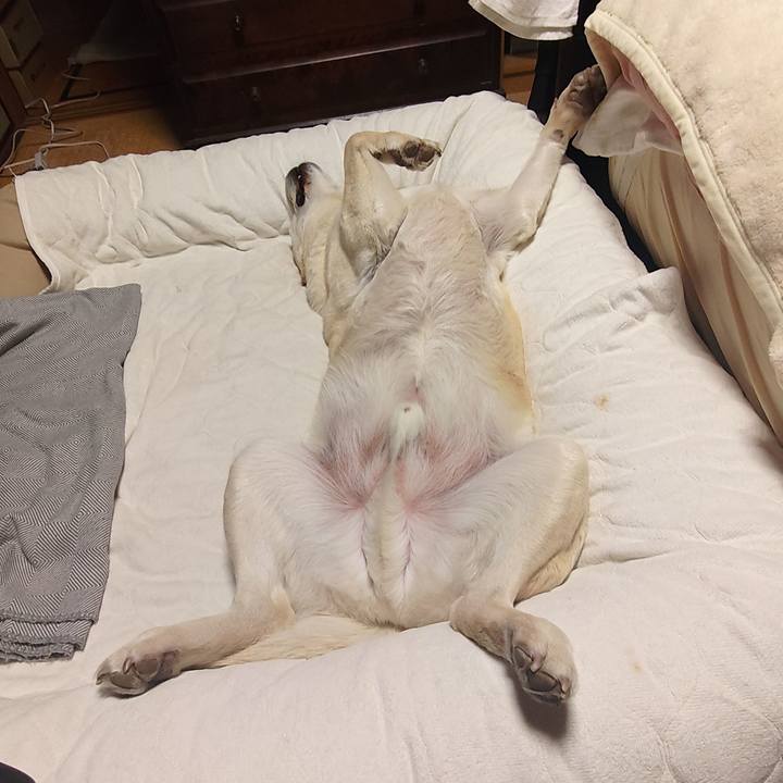 66cb5f3d 2b1f 4d8c b08e e8af10dfbc9c 1744160311538