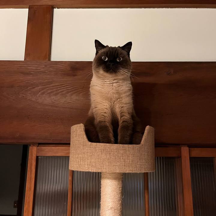 66cb7221 b01e 47ad a6dd 5c5088448418 1640344611643