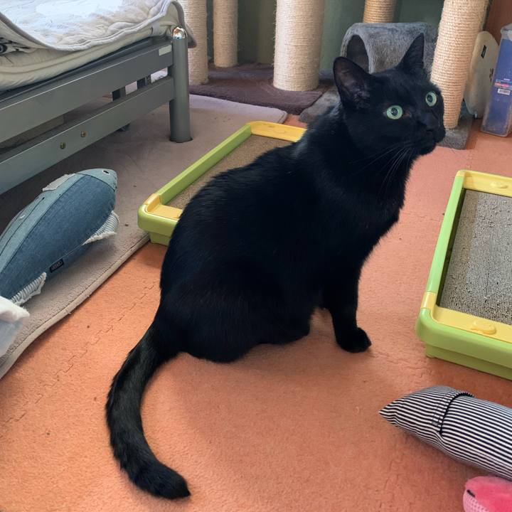 66cb9f7e c666 4656 9f13 1f3bfe488b9c 1575853112691