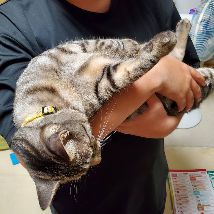 66cbc2bc fb5d 4056 a169 04e47ae092a6 1695823048464