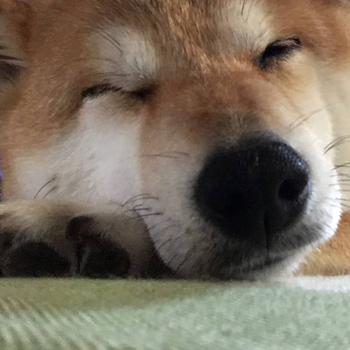 66cbccd0 92dc 4507 885d 6d609bd52d43 1561534803832