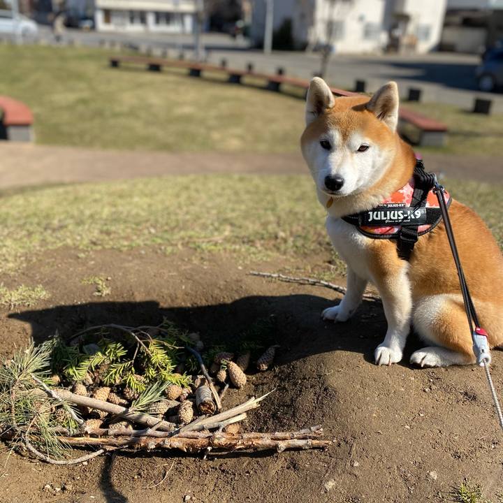 66cbe90d 239c 4ac8 8796 d4d689d03b30 1617584948212