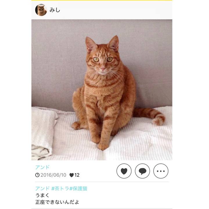 66cbf584 5909 4520 8c1e 6748fdf2e7a0 1591758009534