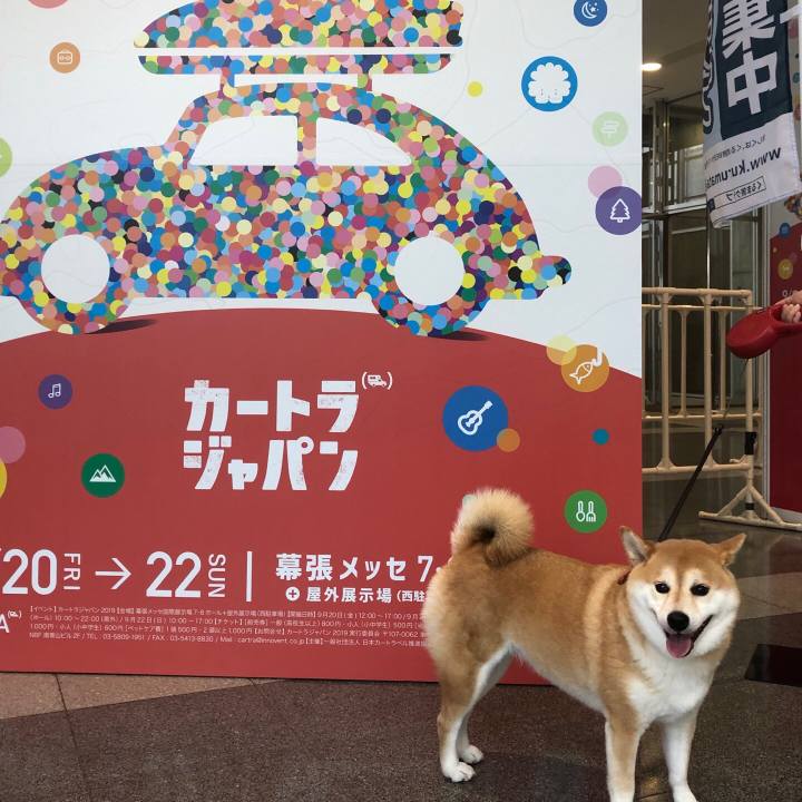 66cc1fbd 6c3f 4ffb 9806 3e46b4af4d1d 1569060808293