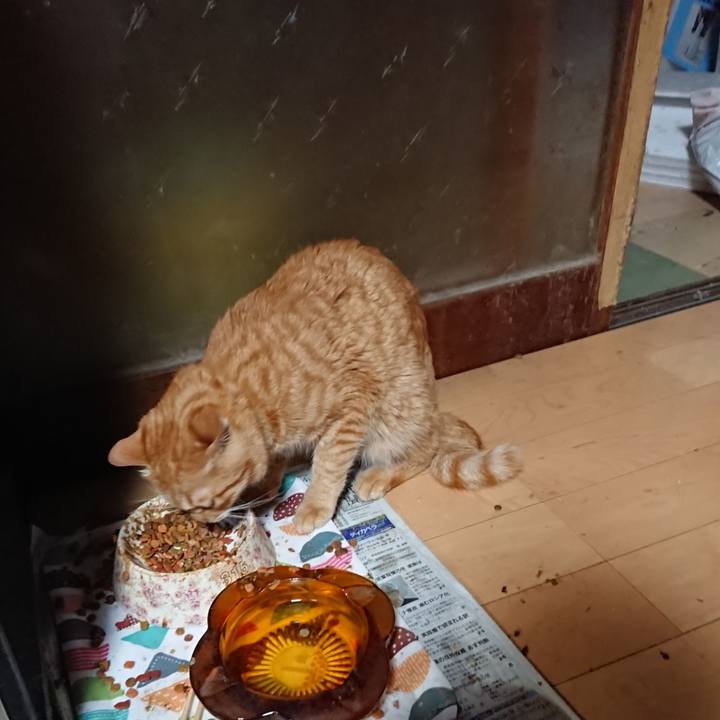 66cc24a1 a769 4fab bc6d b5741b9dc75f 1655551903800