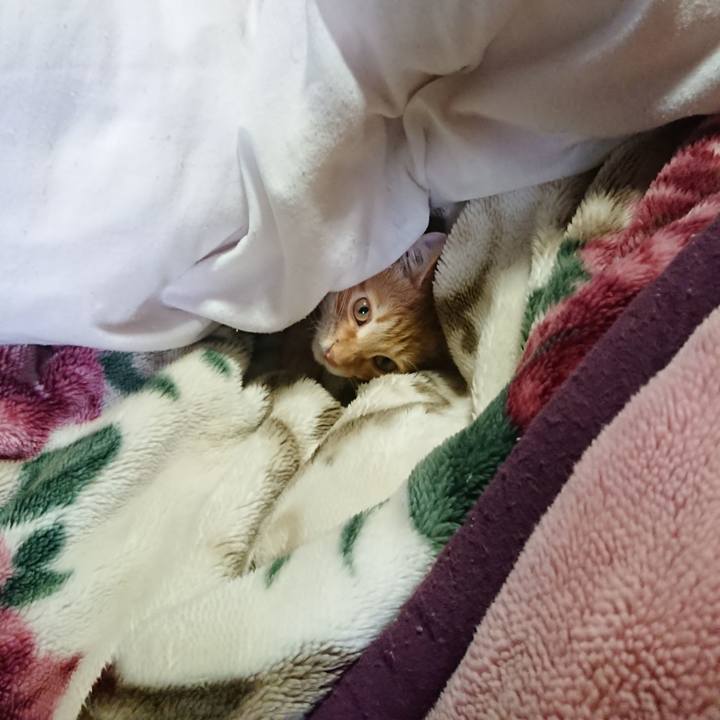 66cc393e 3414 40ac bd5c a4577e72cb85 1634548952986