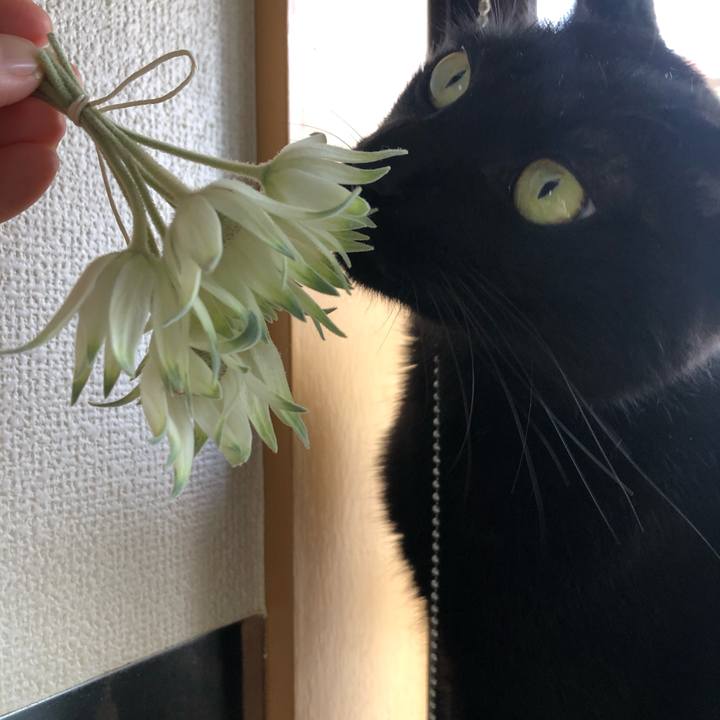 66cc4ee2 0cf6 4002 908c 9755728add5d 1588376195526