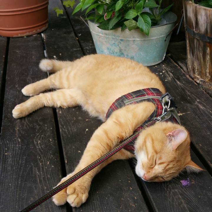 66cc763f b2aa 4307 a5c2 cd9bc526eea1 1563510499970