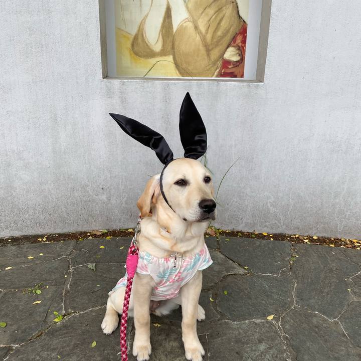 66ccb3bf 9a48 4199 86d4 ad820a73f331 1619842612082