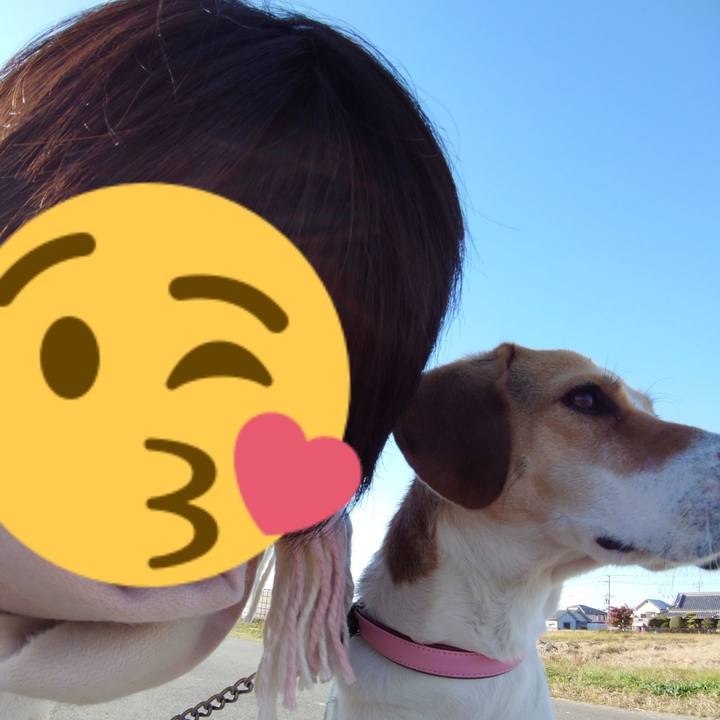 66ccb5e2 5c59 4519 997c 8636bf7b3f2e 1579336108197