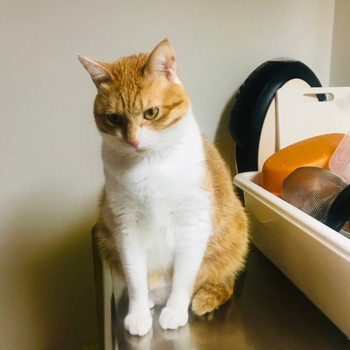 66ccbeef 5210 47e7 a3c4 7ef6d4f79dc5 1551867570243