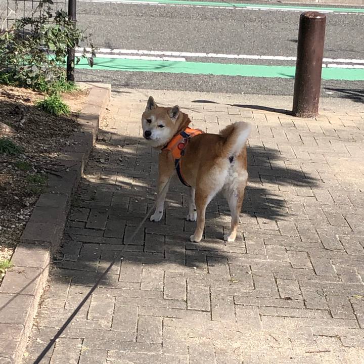 66ccd656 8d33 4a38 b41d 0978a2c12fa1 1581996433722