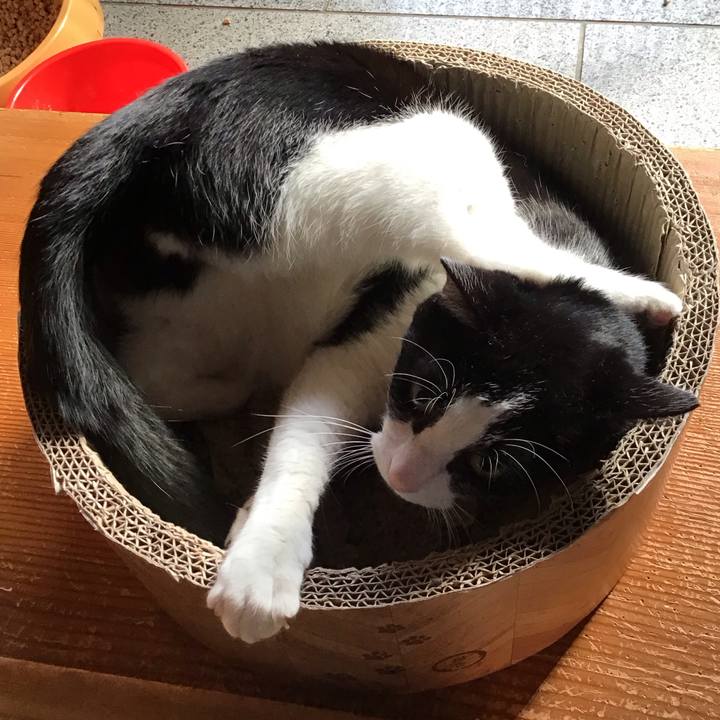 66ccdf72 79ed 41aa 80c5 70f4603b1597 1708763556040