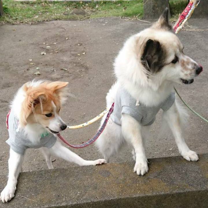 66ccf608 86ce 4cfa 96a7 91c2c890c095 1509707045578