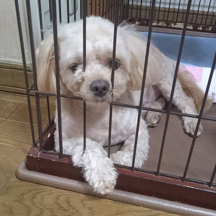 66cd49ba b6c7 4983 b992 fd29c1d2f253 1533871337267