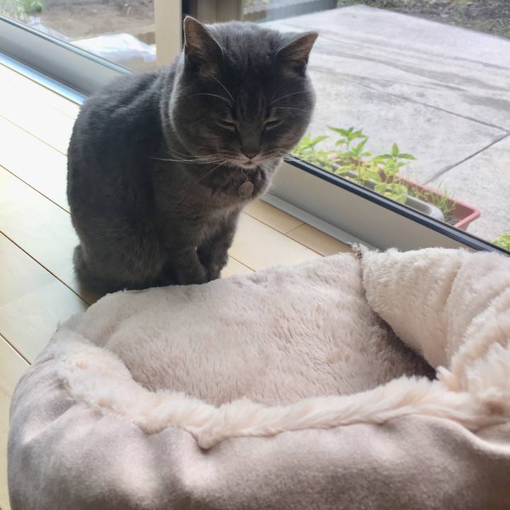 66cd7814 ad19 4a75 8606 7c6f5f6a544a 1541036122386