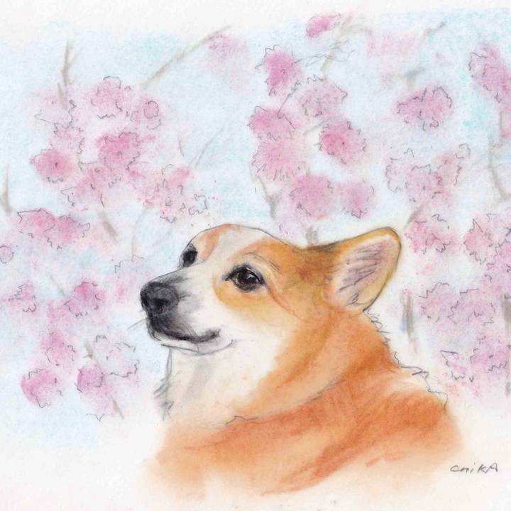 66cd97ca 72a0 4619 af89 7f12dfaacb2c 1617469126051