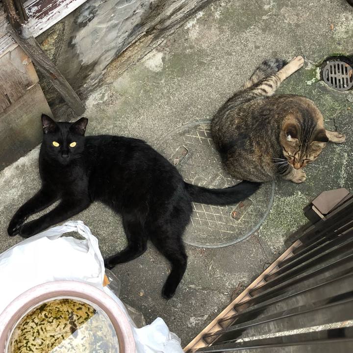 66cda65d 0586 4a02 ad8e 3dcc1c85a5c1 1536309495485