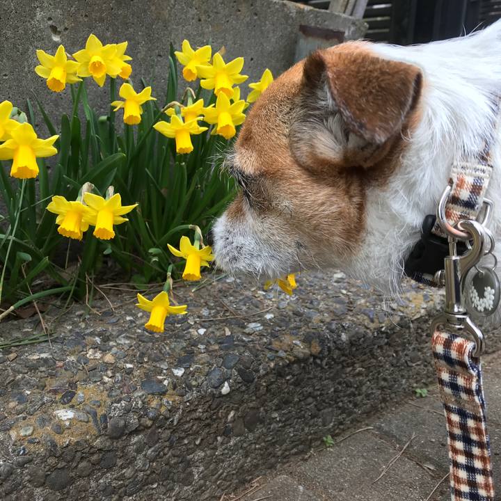 66cdc980 f3cd 4ac8 8d96 c585c3747b55 1582961787386