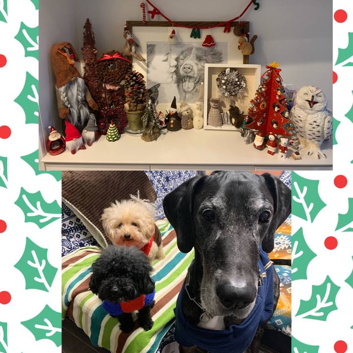 66cdf418 7c97 4fb2 8550 8ba2bdd59e95 1577054858064