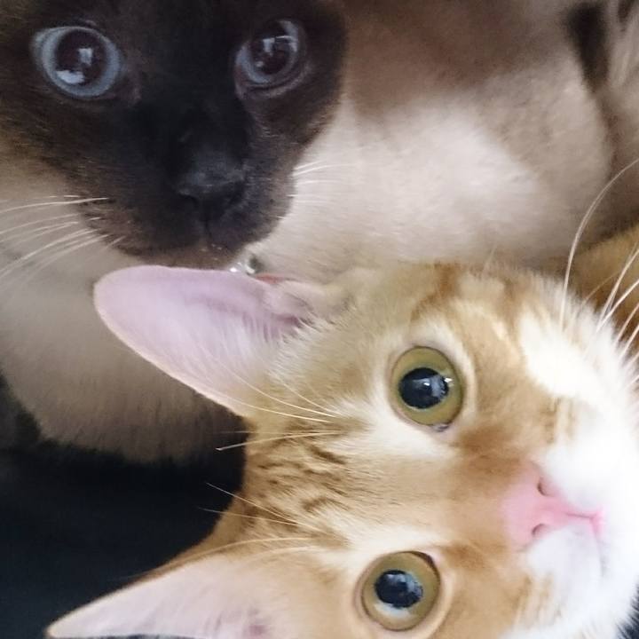 66ce042f f1c9 4e64 a1cc dd99075f9fee 1515236284788