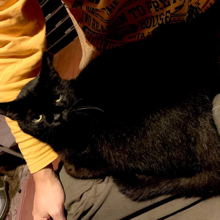 66ce0c01 c348 4f03 840a 1f57f45db3c4 1571089397882