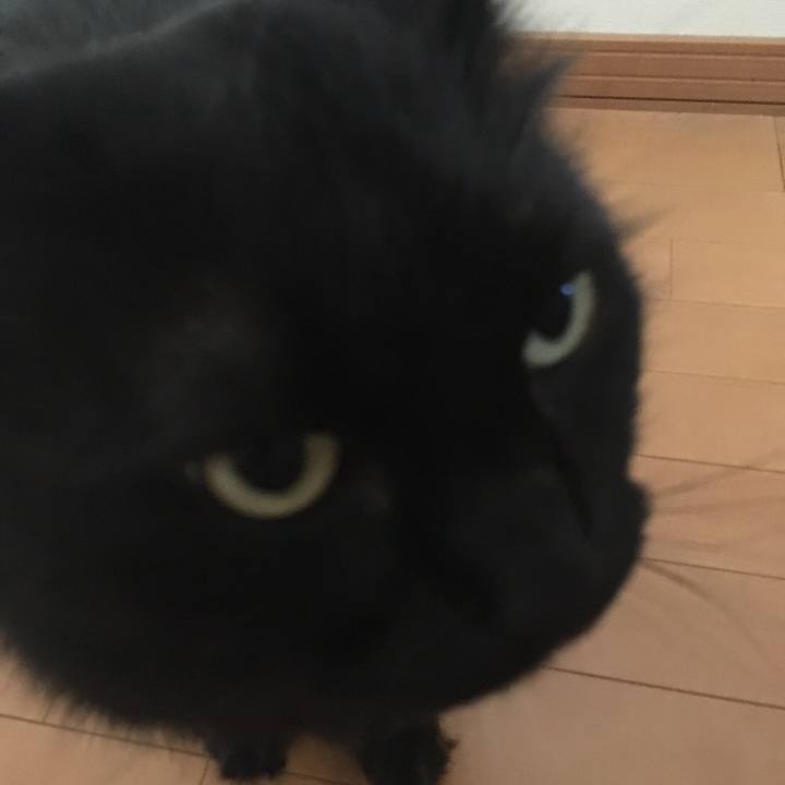 66ce1246 8aa1 4b3c 9373 b0b0378b2785 1529903197191