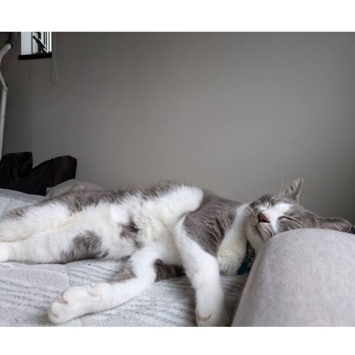 66ce59b5 dee9 4547 8622 74aacce974ed 1730169493669