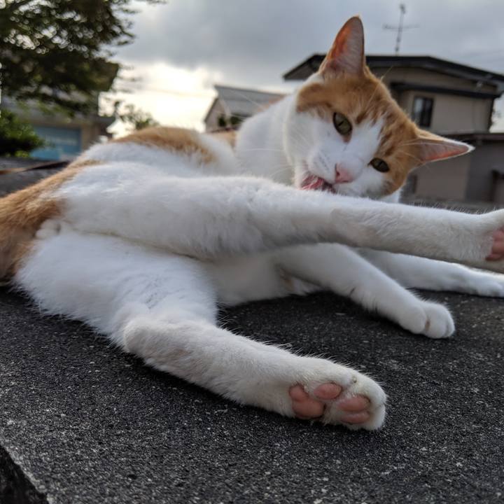 66ce5db3 e2ae 4dc4 9fac 15c2312e956f 1565448483265