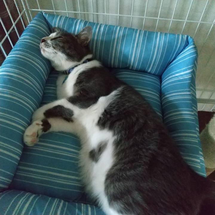 66ce67c7 ec9e 49d9 a544 44c686e2af03 1599544452943