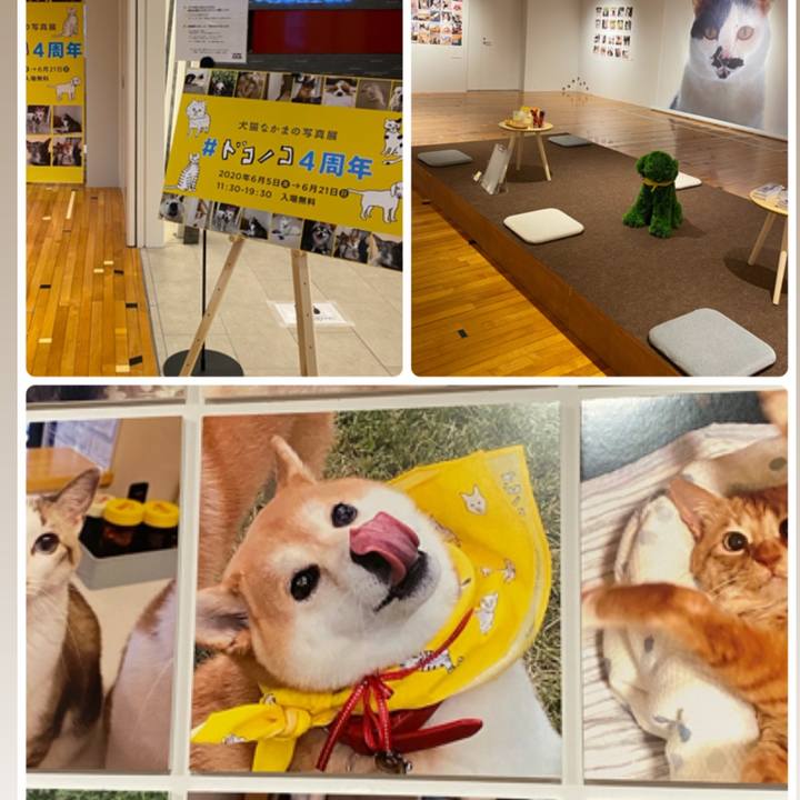 66ced5f7 a1cc 4e9a 8047 7e254e95ab59 1591510638619