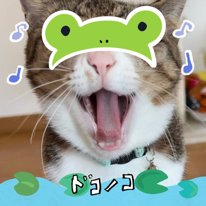 66cee65f af23 43c3 8220 327e9f743a6d 1717655738048