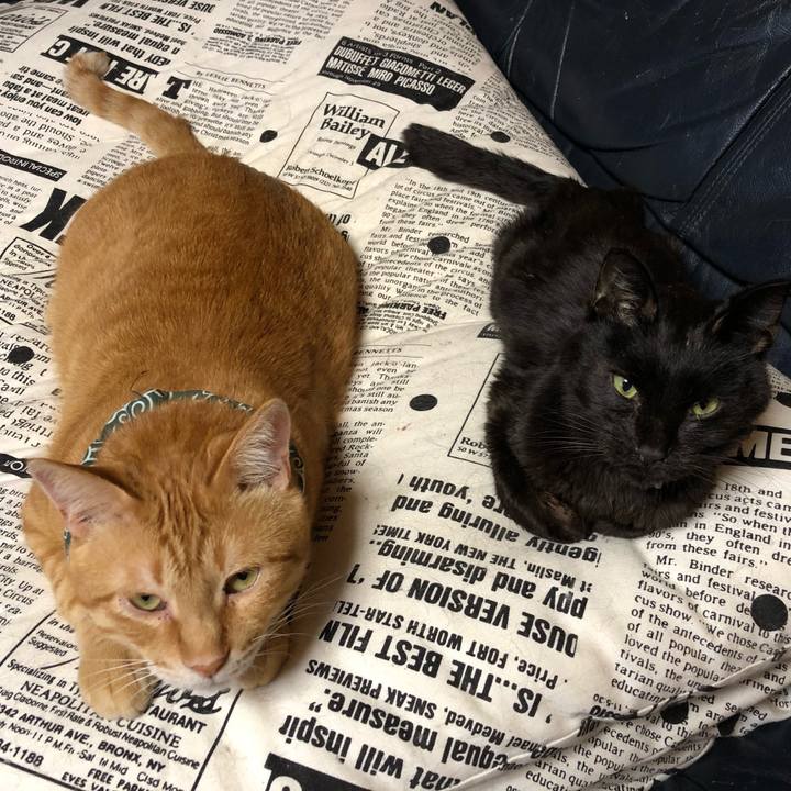 66cef827 5182 4963 a81c e43283ffbcd8 1557655056041