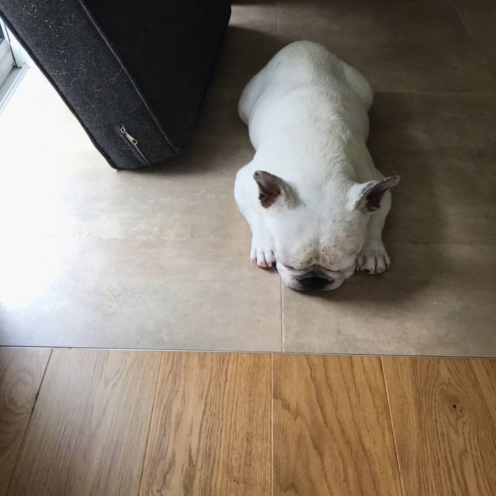 66cf0cd3 5fc1 4402 a4d6 07f6e7ede351 1596412281525