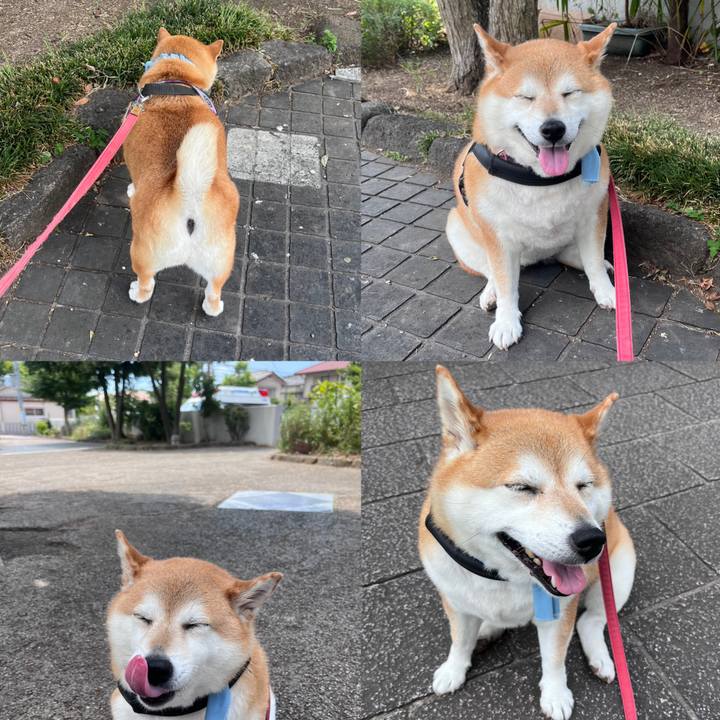 66cf4d6d 8328 47b8 94c2 fd09f273ab55 1689993360712